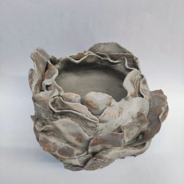 shambhala about iamge