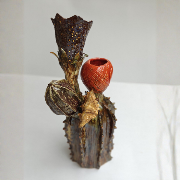 shambhala about iamge