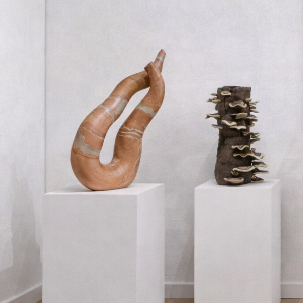 shambhala about iamge